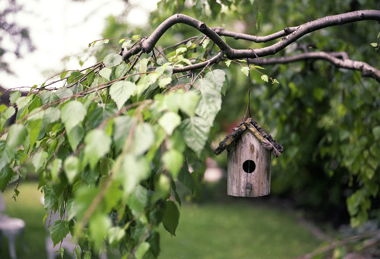 Mit smarter Technik den perfekten Baum für den Garten finden